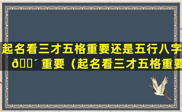 起名看三才五格重要还是五行八字 🐴 重要（起名看三才五格重要还是五行八字重要呢）